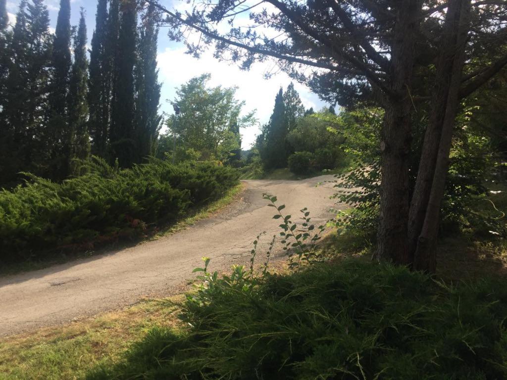 Bed and Breakfast Casale Sant'Elia Capranica Exterior foto
