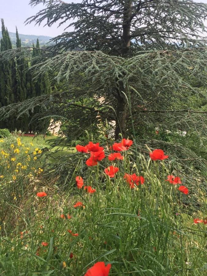 Bed and Breakfast Casale Sant'Elia Capranica Exterior foto